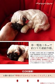 Amazon.co.jp: ニニアンドキノ パーフェクトペット (小サイズ
